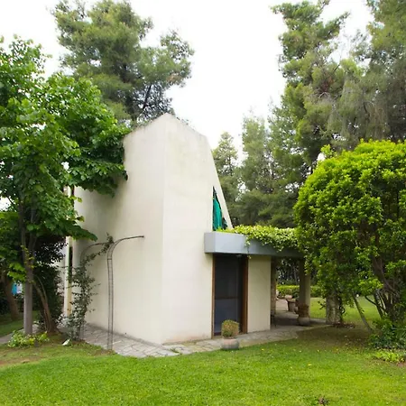 Vila Araucaria Shared Pool Villa,sani