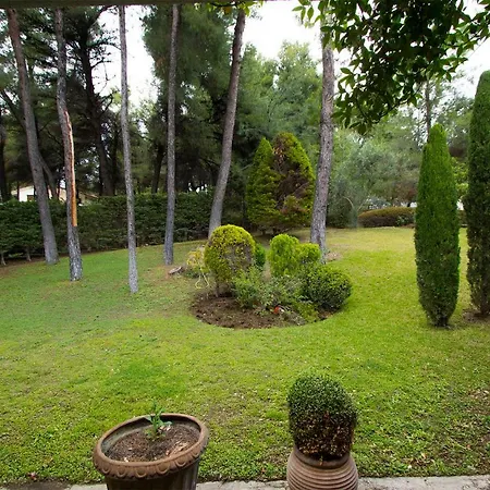 Araucaria Shared Pool Villa,sani Villa *